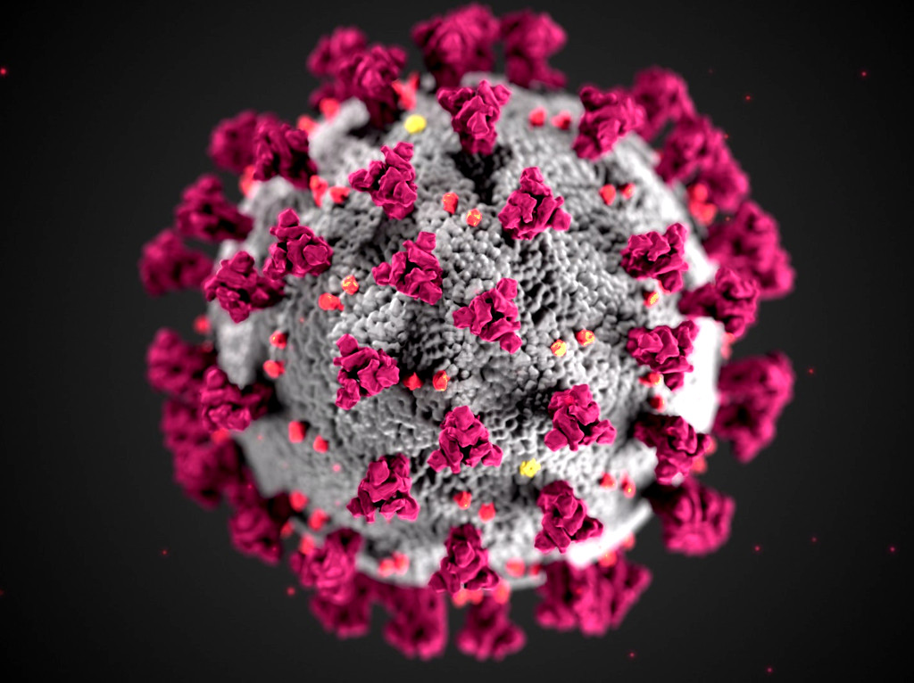 Corona Virus Modell